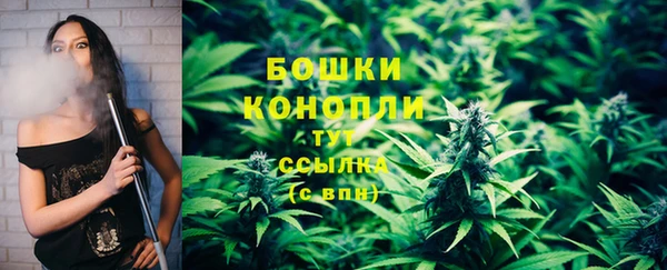 спайс Горняк